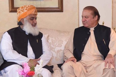 Nawaz, Fazl Discuss Political Situation in Country