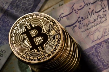 Pakistanis own $20bn in cryptocurrencies, more than federal reserves: Report