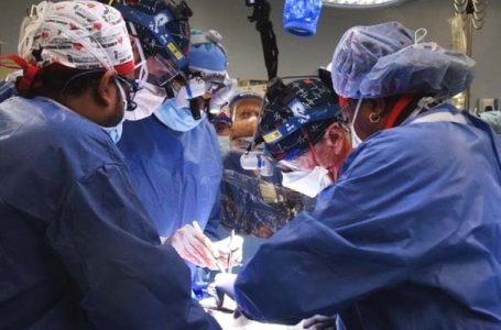Pak doctor successfully implants animal heart in man