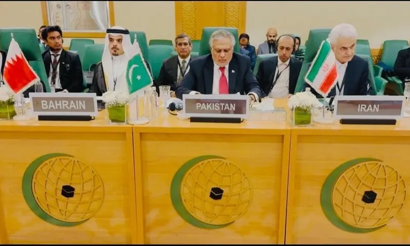 Israel’s ‘expansionist mindset’ bereft of any regard for international law, Dar tells OIC moot